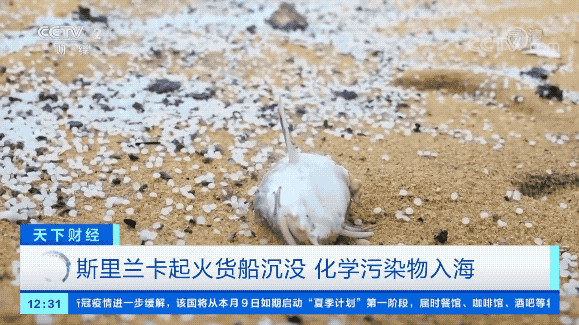 严重海难,货船沉没!81个危险品集装箱入海!影响或持续十年