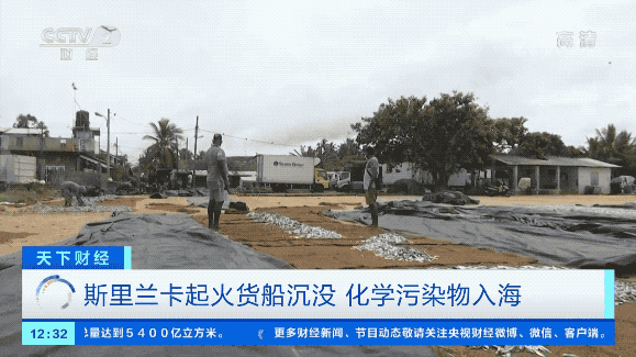 严重海难,货船沉没!81个危险品集装箱入海!影响或持续十年