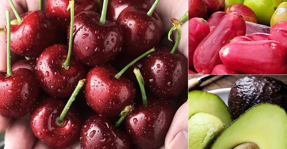 去墨西哥、智利、阿根廷等南美国家的干冻柜运费只要8千多美金!什么是干冻柜?