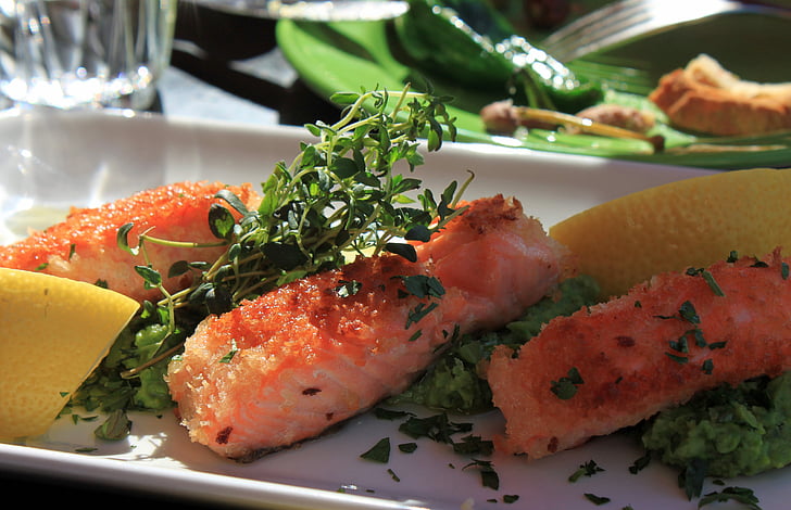 fish, salmon, eat, food, gourmet, cover, cook