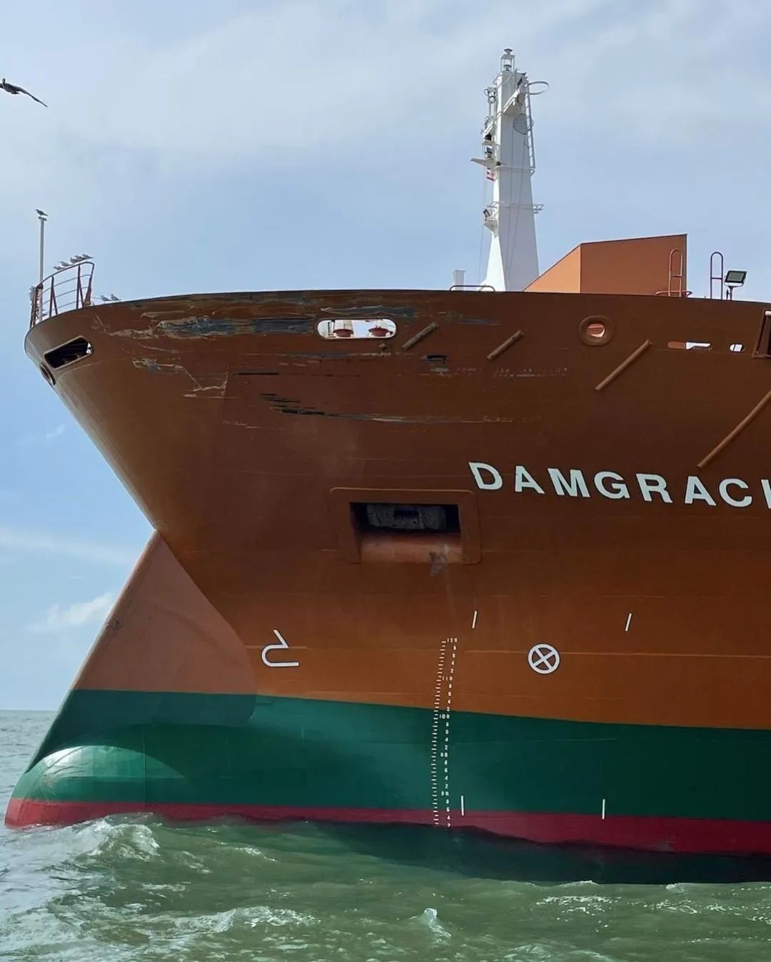 两船碰撞!一干散货船船尾如纸盒般被撕开