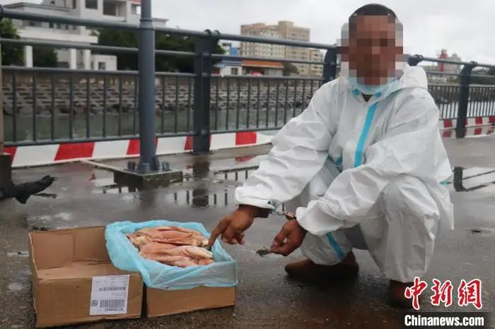 案值约1100万元!广东汕尾海警局查获走私冻品约190吨