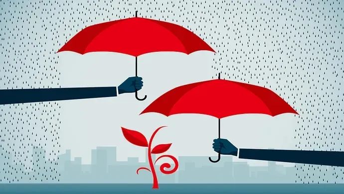 【关税征管】滞纳金减免政策及申请指南