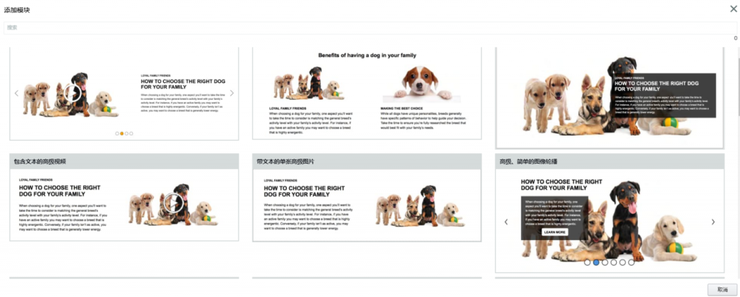 亚马逊高级A+页面更新!卖家:对转化率的影响非常期待